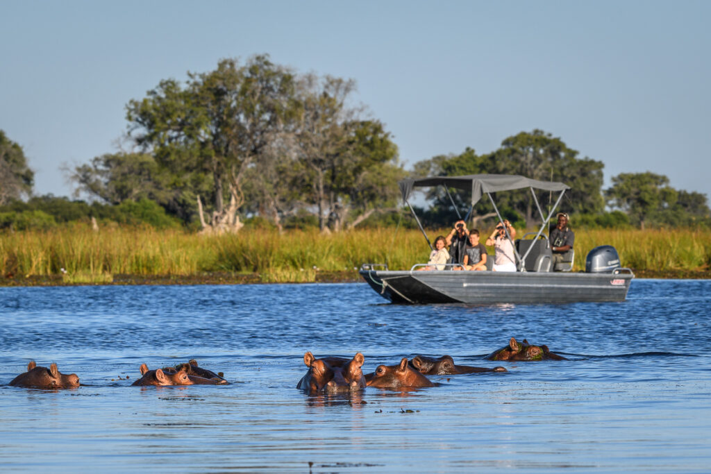 Chobe River Cruise