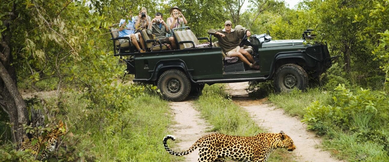 Game Drive Open Air Vehicle