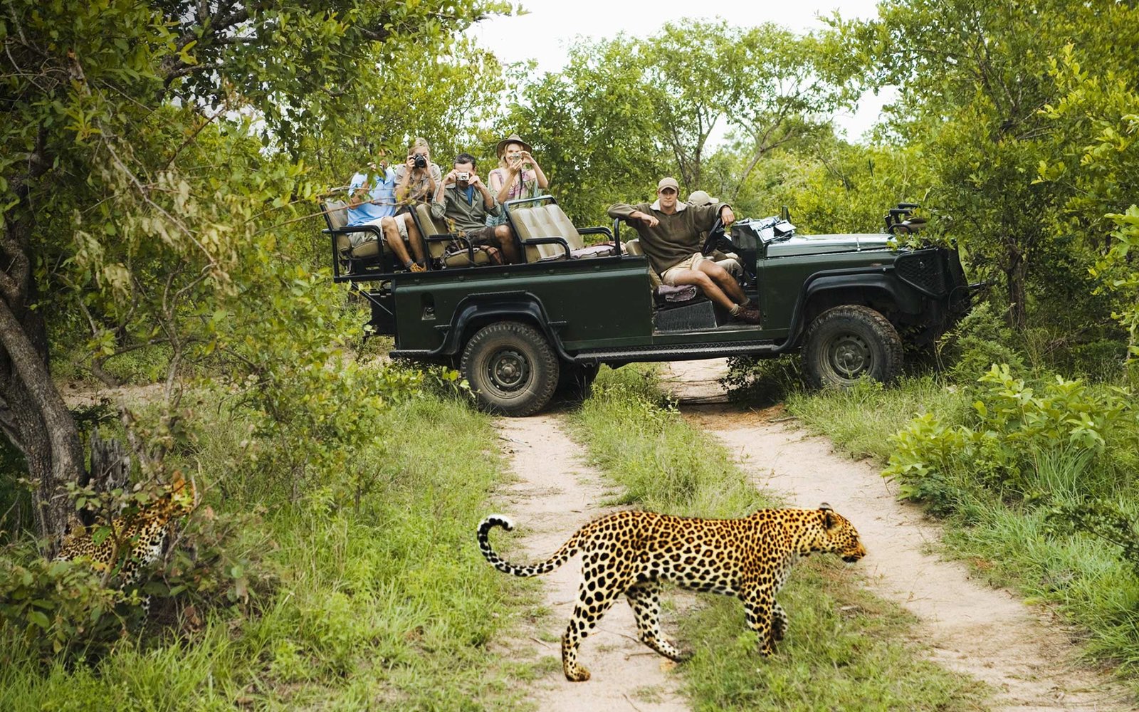 Game Drive Open Air Vehicle