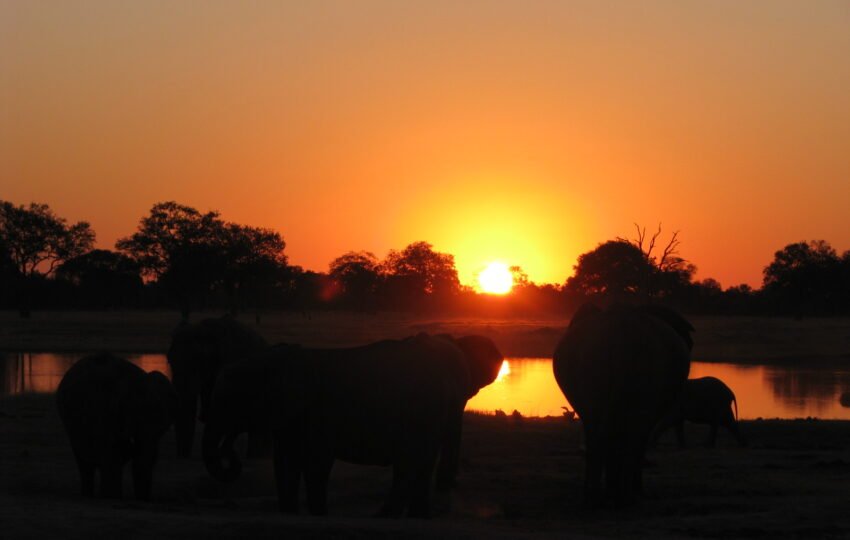 Sunset in Zambezi River